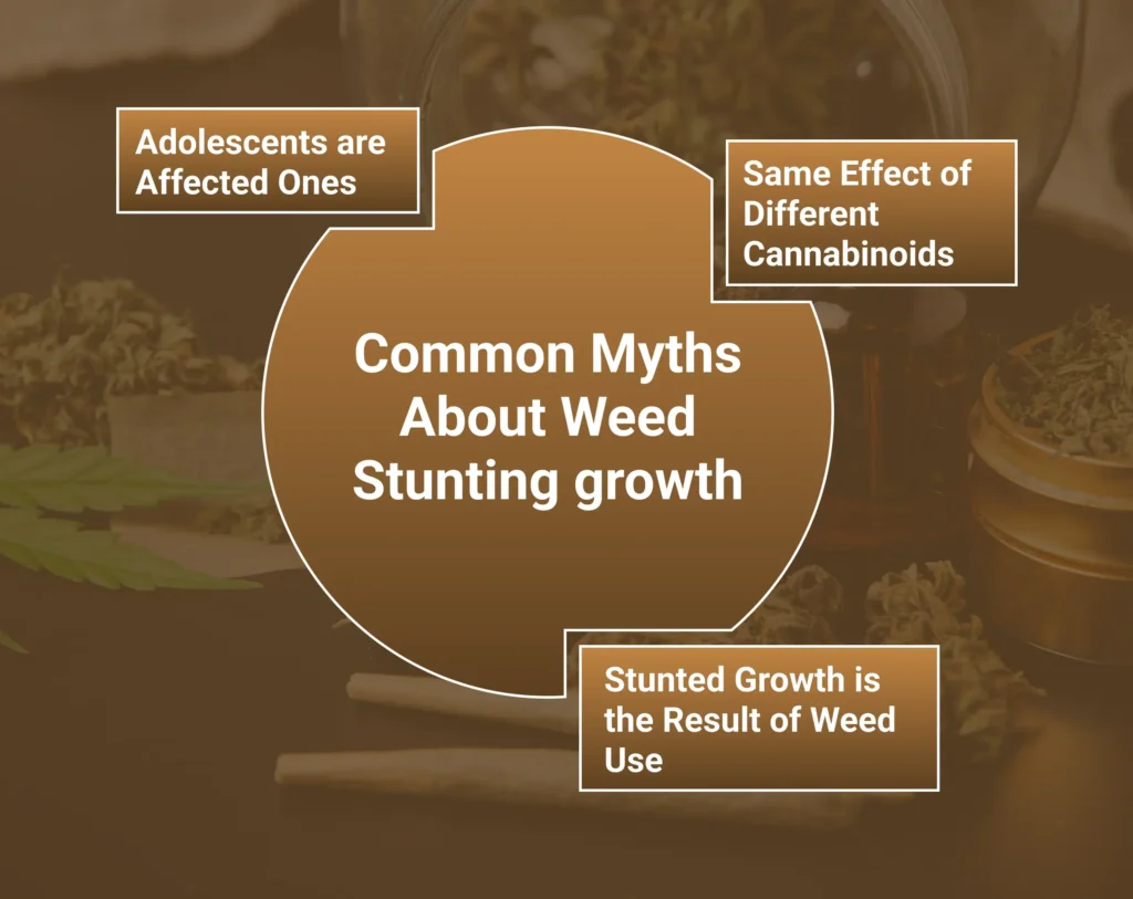Common Myths About Weed Stunting Growth
