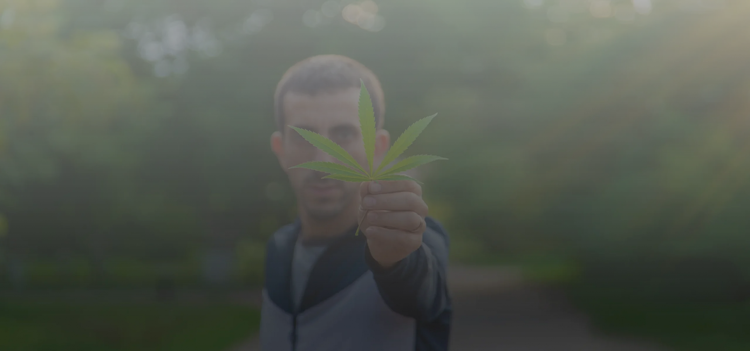 Can Weed Stunt Your Growth