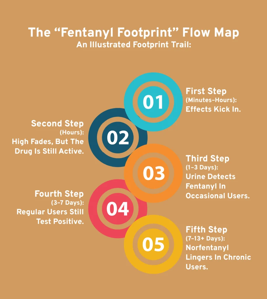Fentanyl Stay in Urine flow map