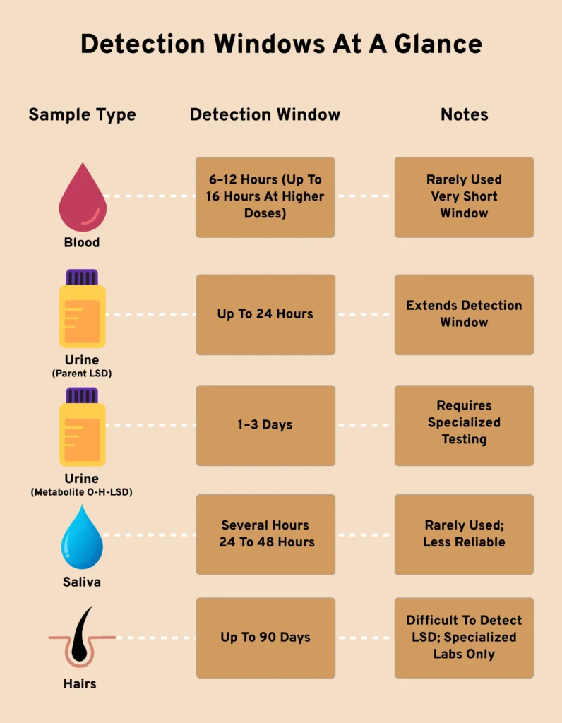 How Long Does LSD Stay in Your System