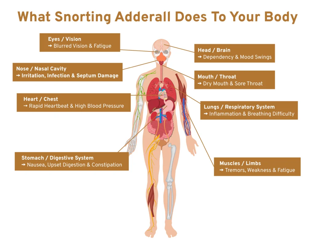 What Snorting Adderall Does to Your Body
