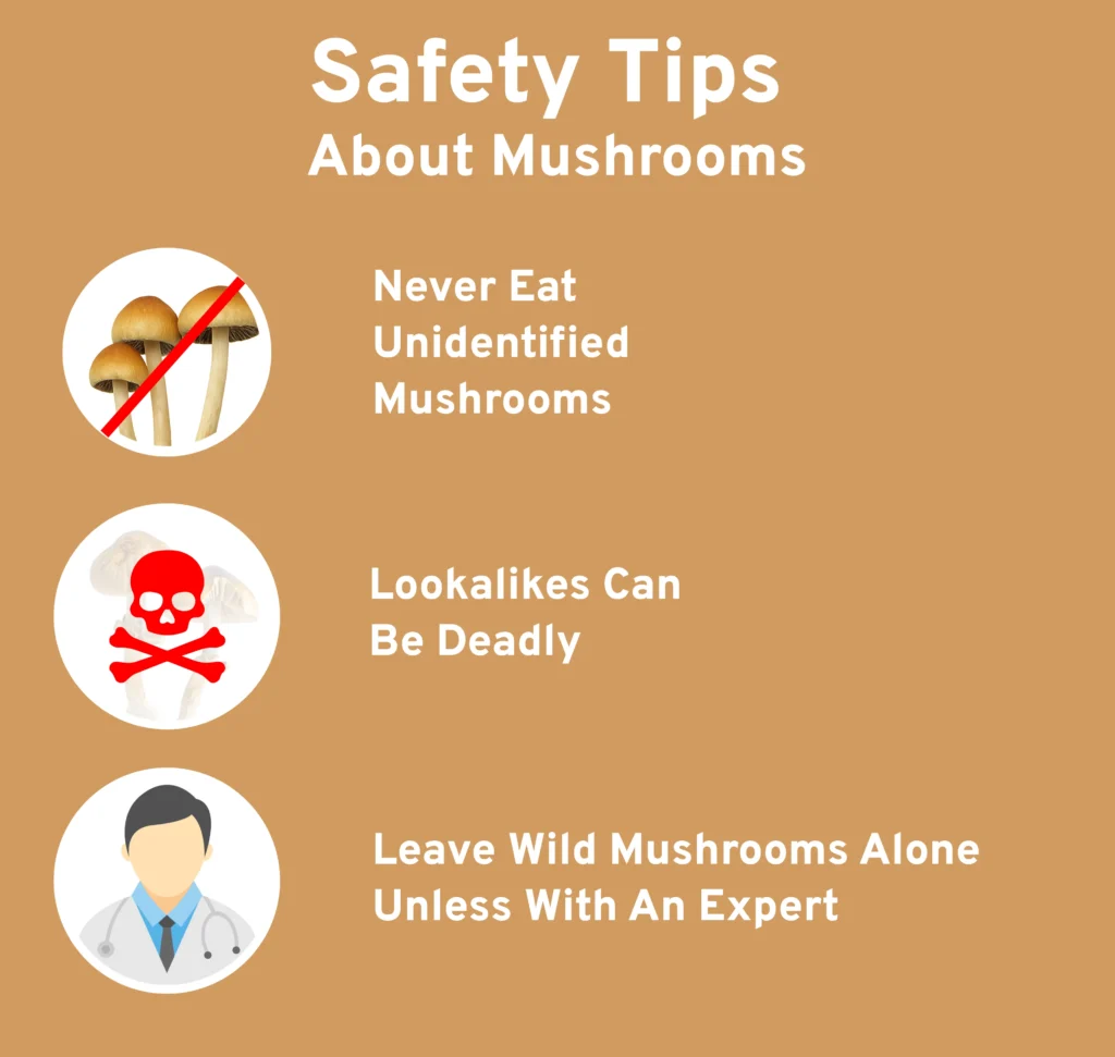 safety tips about mushrooms